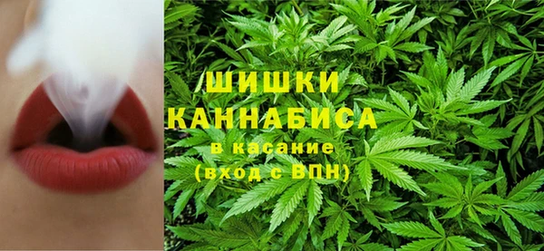 mdpv Протвино