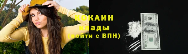 mdpv Протвино