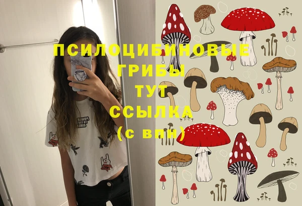 mdpv Протвино