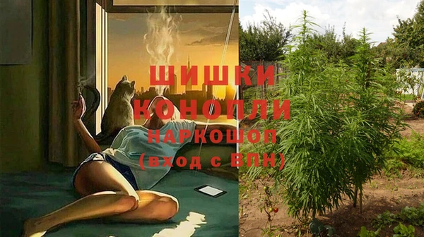 спайс Приозерск